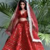 Red festive lehenga for curvy doll